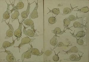 Lot De 11 Oeuvres Sur Papier