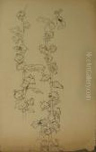 Lot De 8 Etudes De Fleurs Et De Feuilles