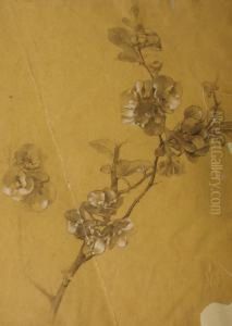 Lot De 8 Etudes De Fleurs Et De Feuilles by Alexis Fournier