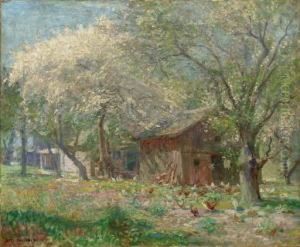 Blossoming Trees On The Farm