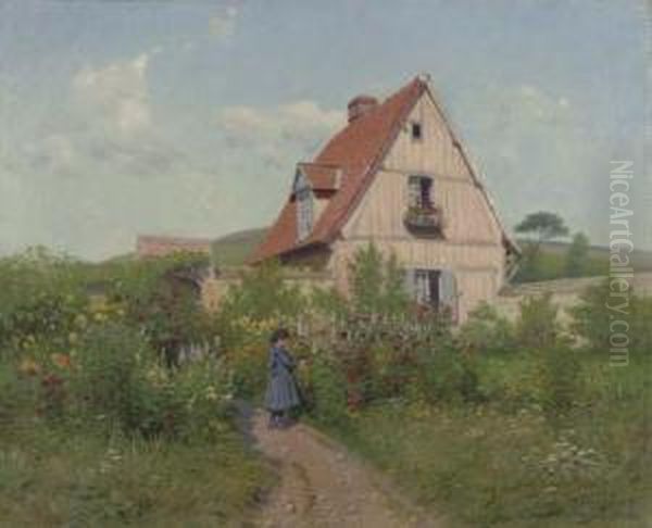 Wild Garden - view 1