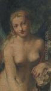 A Wood Nymph A Wood Nymph