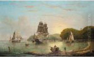 Anchored In Safe Harbour