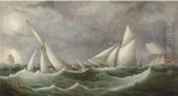 Latona And Florinda On Opposite
Tacks With Enchantress Off St.catherine's Point In The Ryde Regatta's
Commodore's Cup Race Ofaugust 1881 - view 1