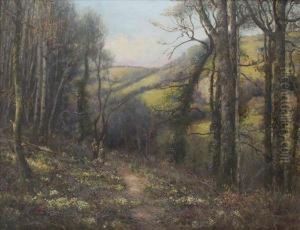 A Woodlandglade