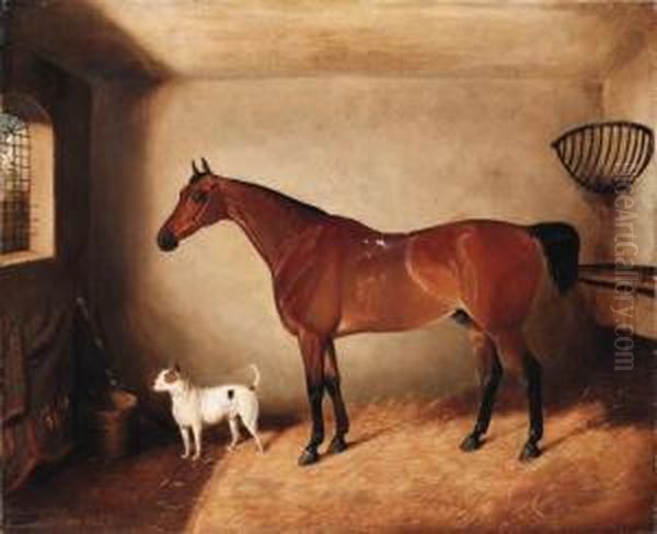 A Bay Horse And Dog In A Stable - view 1