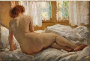 Nude Bathed In Sunlight