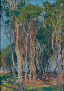 Gum Trees