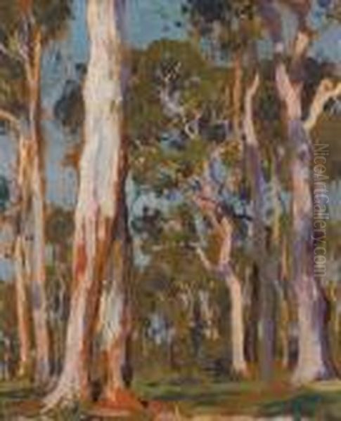 Gum Trees - view 1
