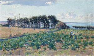 The Cabbage Patch by Emanuel Phillips Fox