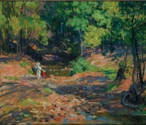 The Creek, Stanwell Park, Sydney