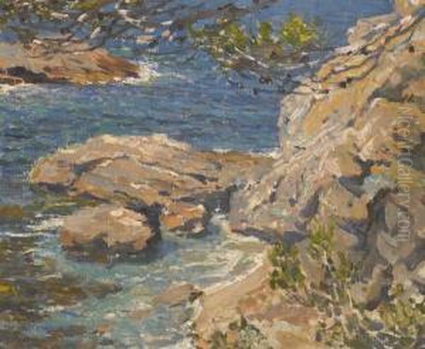 Rocky Coastline - view 1