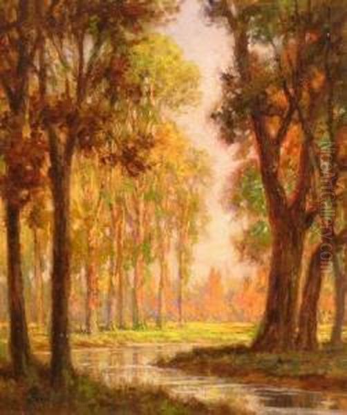 A Sunlit Wooded Landscape - view 1