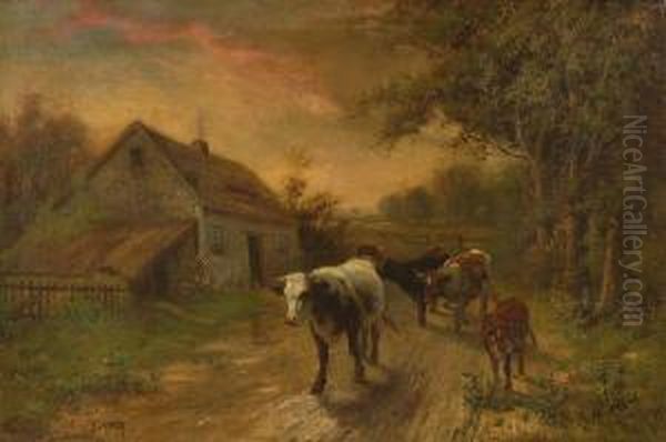 Cows On A Country Road. - view 1
