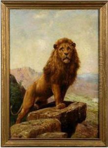 Lion.
