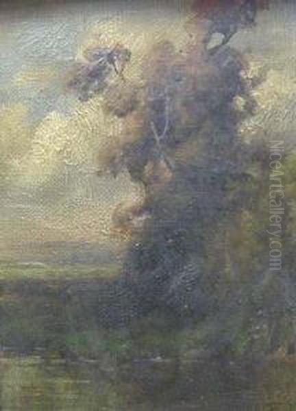 Trees Along A River - view 1