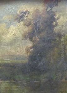 Trees Along A River