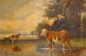 Cattle By A River