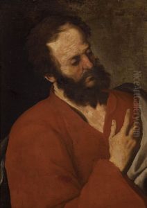 Testa Di Apostolo (?) by Francesco Fracanzano