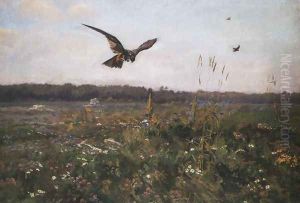Goshawk. Weather