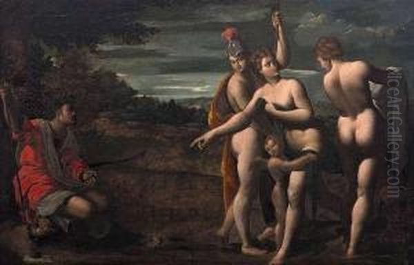 Paolo Fiammingo - view 1