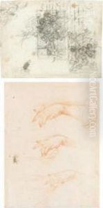 A Sheet Of Studies For Flora And Zephyr A Sheet Of Studies For Flora And Zephyr