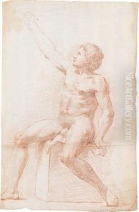 A Study Of A Male Nude by Baldassarre Franceschini