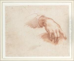 Etude De Main Sanguine. by Baldassarre Franceschini