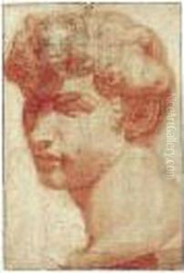 Study Of The Head Of Giuliano De'medici by Baldassarre Franceschini