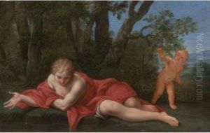 Narcissus