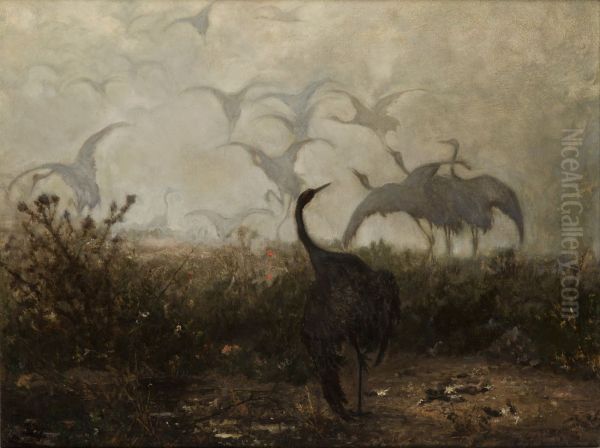 Cranes - view 1