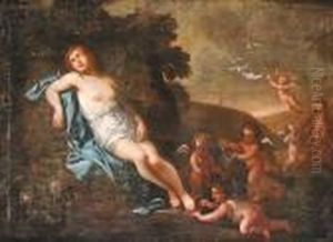 Cerchia Di. Il Sonno Di Venere Cerchia Di. Il Sonno Di Venere