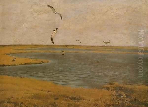 Lapwings - view 1