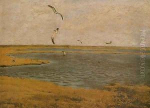 Lapwings
