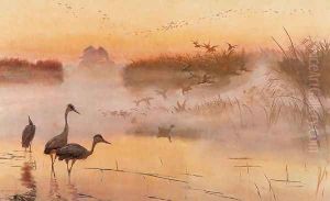 Dawn. The Kingdom of Birds