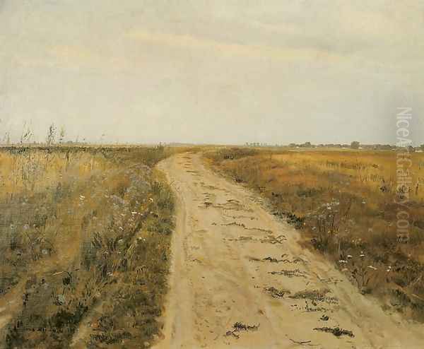 Path Through a Field - view 1