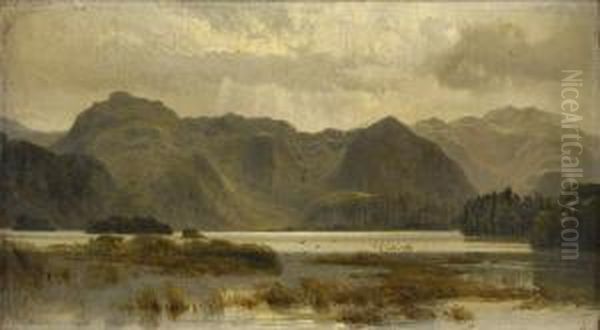 Seenlandschaft. - view 1