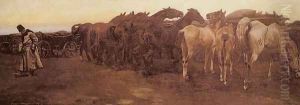 Horses Resting