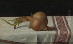 Onion On Tablecloth by John Francis