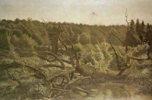 Forest by Jozef Chelmonski