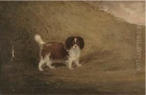 A Spaniel In A Landscape