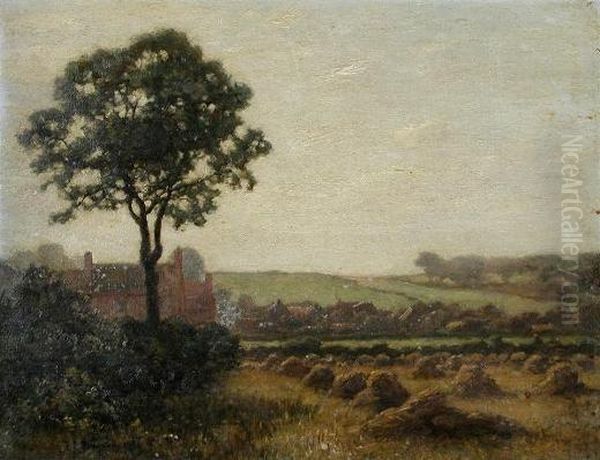 Cornfields At Dusk - view 1