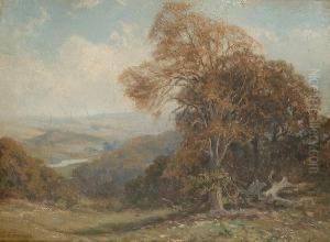 An Extensive Country Landscape by Thomas Edward Francis