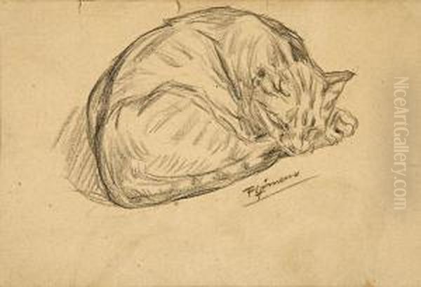 Un Gato - view 1