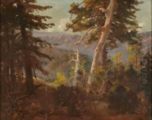 Sunlit Trees In A Mountain Landscape by John Bond Francisco