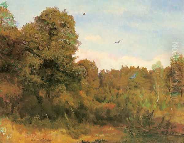 Landscape. Forest - view 1