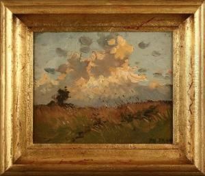 Sommerliche Wiesenlandschaft Unter Hohen Wolken