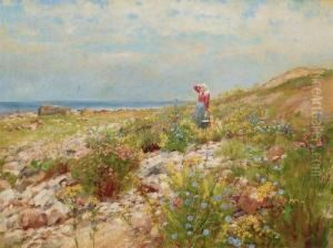 Sommertag Am Meer