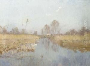 April Morgen: Swans On A Lake
