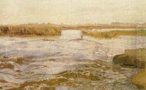 Flooded Meadow